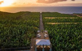 Hacienda La Dehesa (Only Adults)